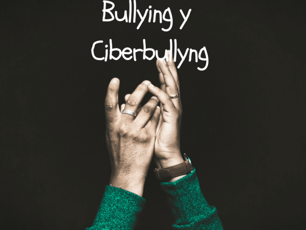 Bullying y Ciberbullyng