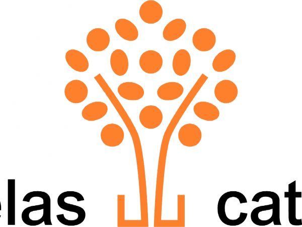 Escuelas Católicas colabora en posgrado SchoolMarket