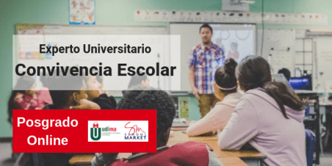 Experto universitario en Convivencia escolar