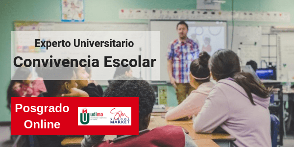 Experto universitario en Convivencia escolar