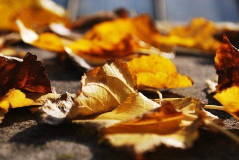 agenda par octubre