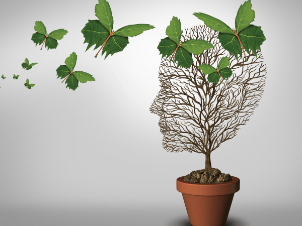 neuromarketing educativo